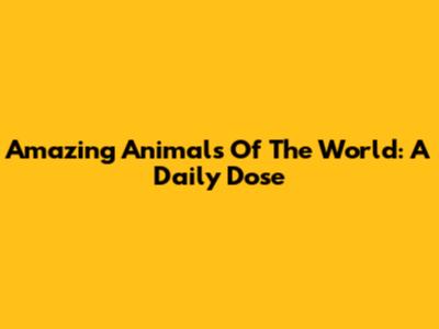 Amazing Animals Of The World: A Daily Dose