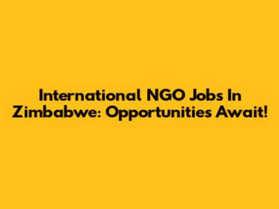 International NGO Jobs In Zimbabwe: Opportunities Await!